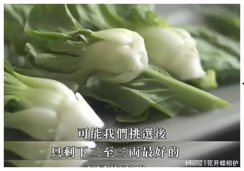 娱乐吃瓜酱的瓜是真的吗