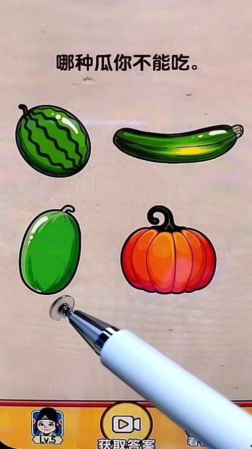 吃瓜娱乐素材哪里找,吃瓜娱乐素材的宝藏之地